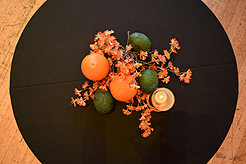 A FAREWELL CELEBRATION